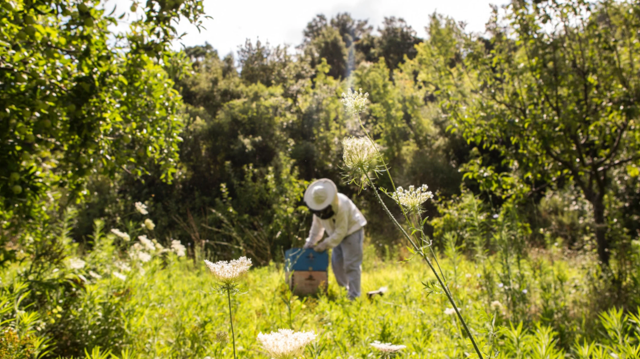 shallow focus photo of a glass jar with honey on a chopping board